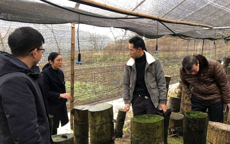 1641696369759252.png 图片3.png