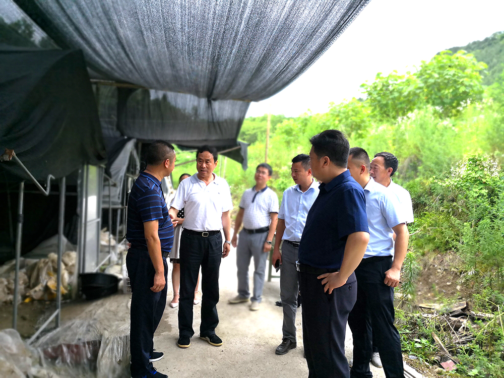 1530171731654943.jpg IMG_20180626_143704 副本副本.JPG