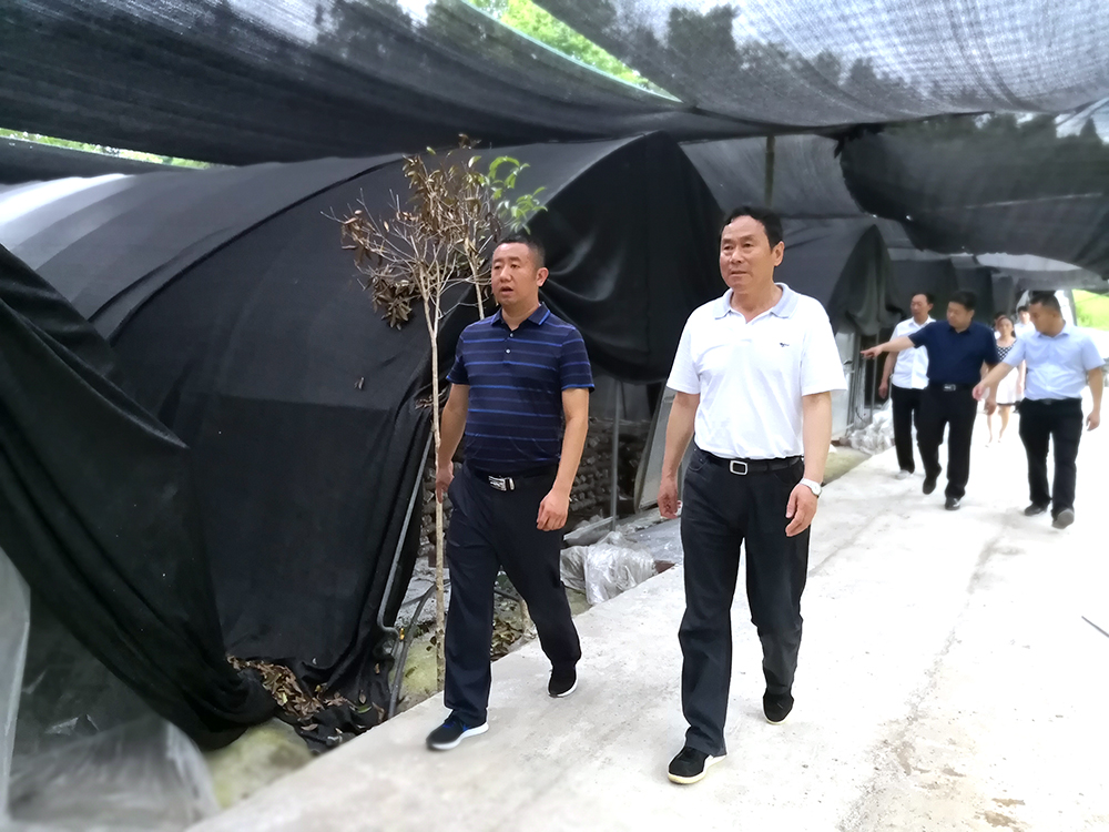 1530171961103220.jpg IMG_20180626_143743_1 副本.jpg