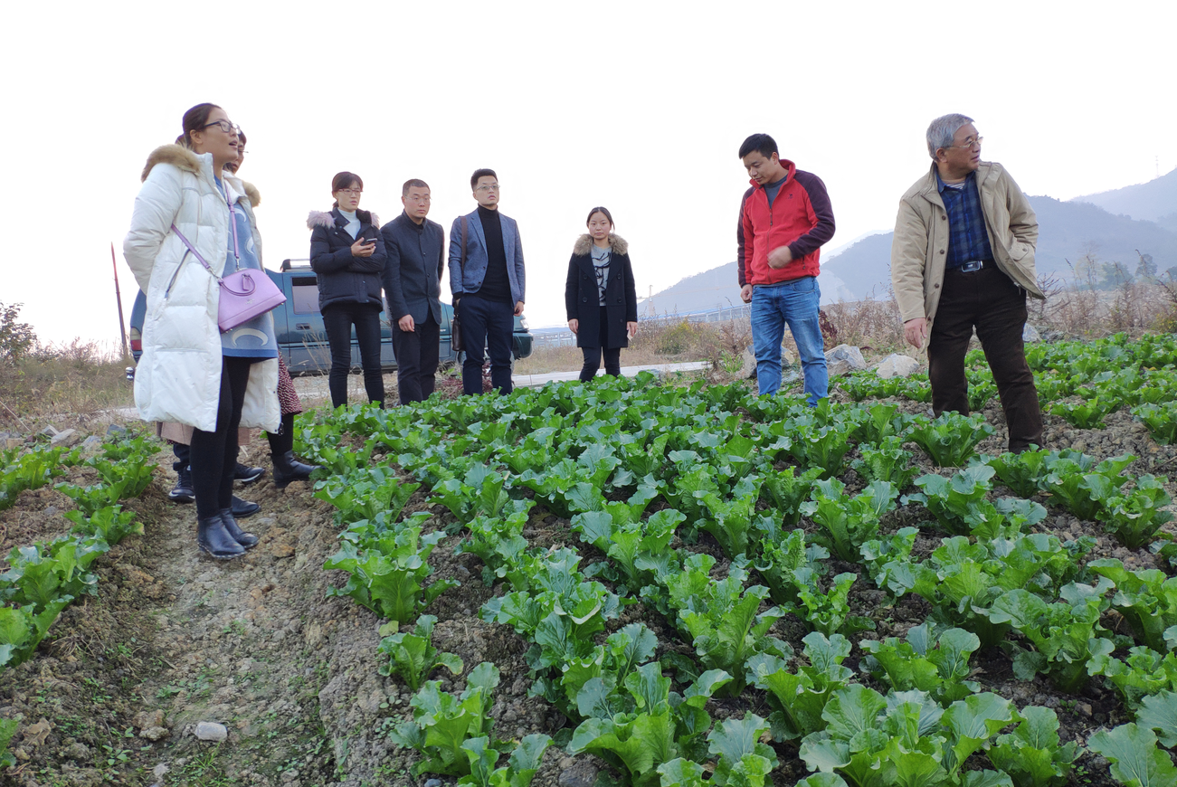 1545728225372827.png image.png