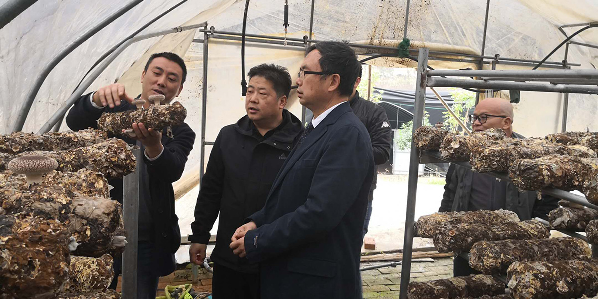 1545890822172901.jpg 1.jpg