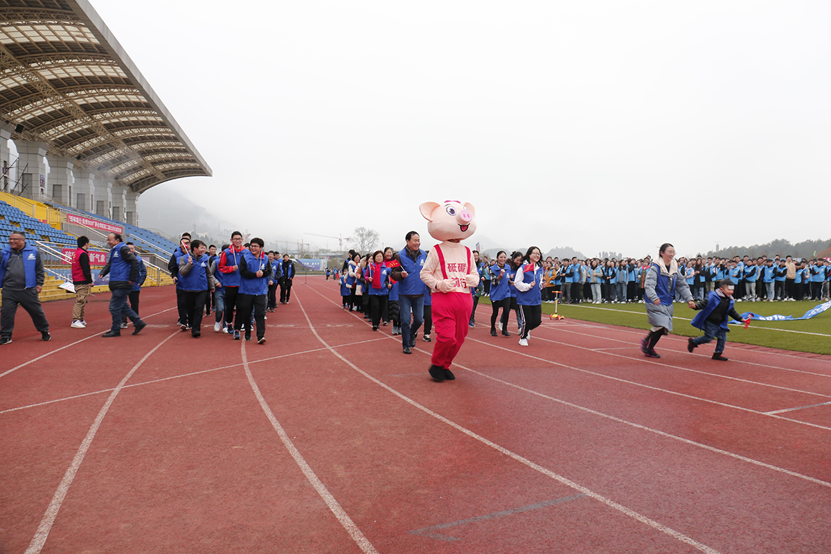 1577980379488625.jpg x.jpg