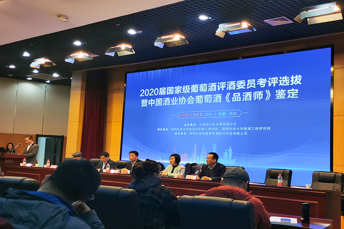 1608640823250746.jpg 开幕式.jpg