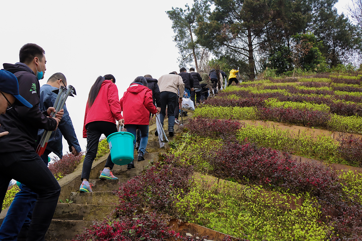 1615543961114154.jpg IMG_3555.JPG