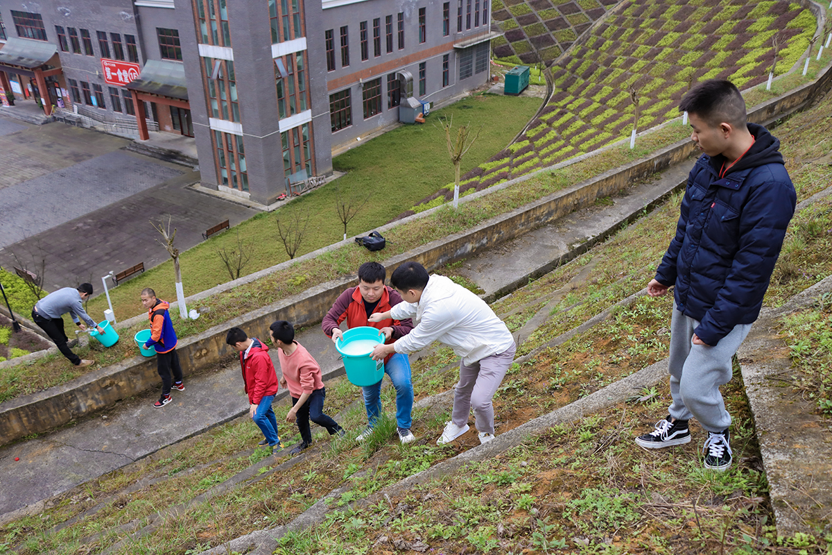 1615544038129332.jpg IMG_3608.JPG