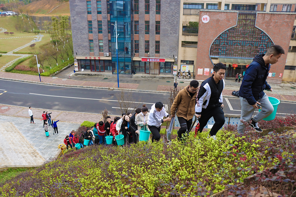 1615605609552571.jpg 3.jpg