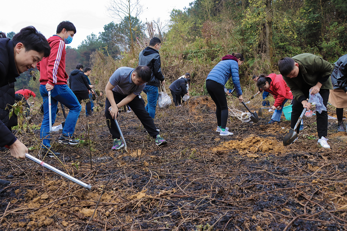 1615605645234652.jpg 4.jpg