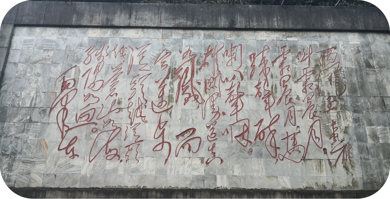 1615770255134543.jpg 图片4.jpg