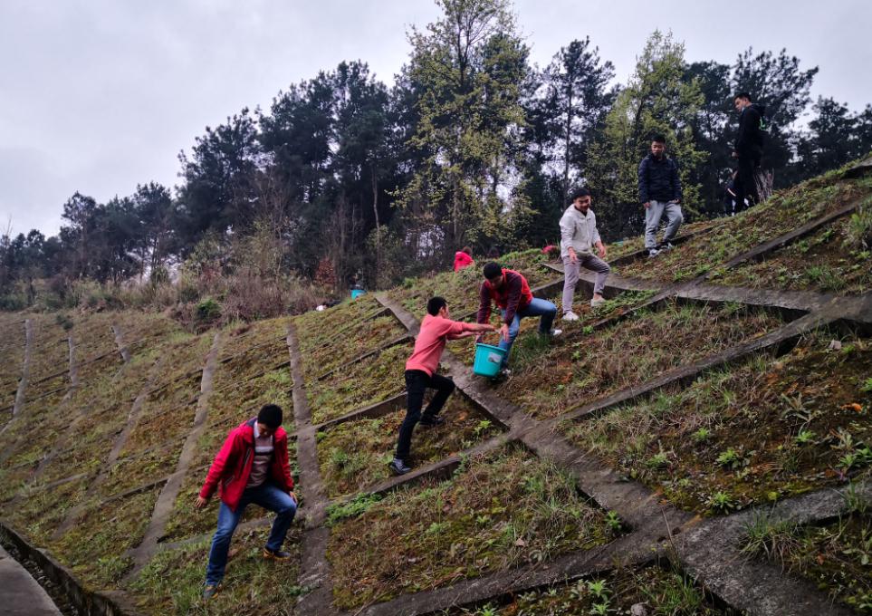 1615770659698922.jpg 图片12.jpg