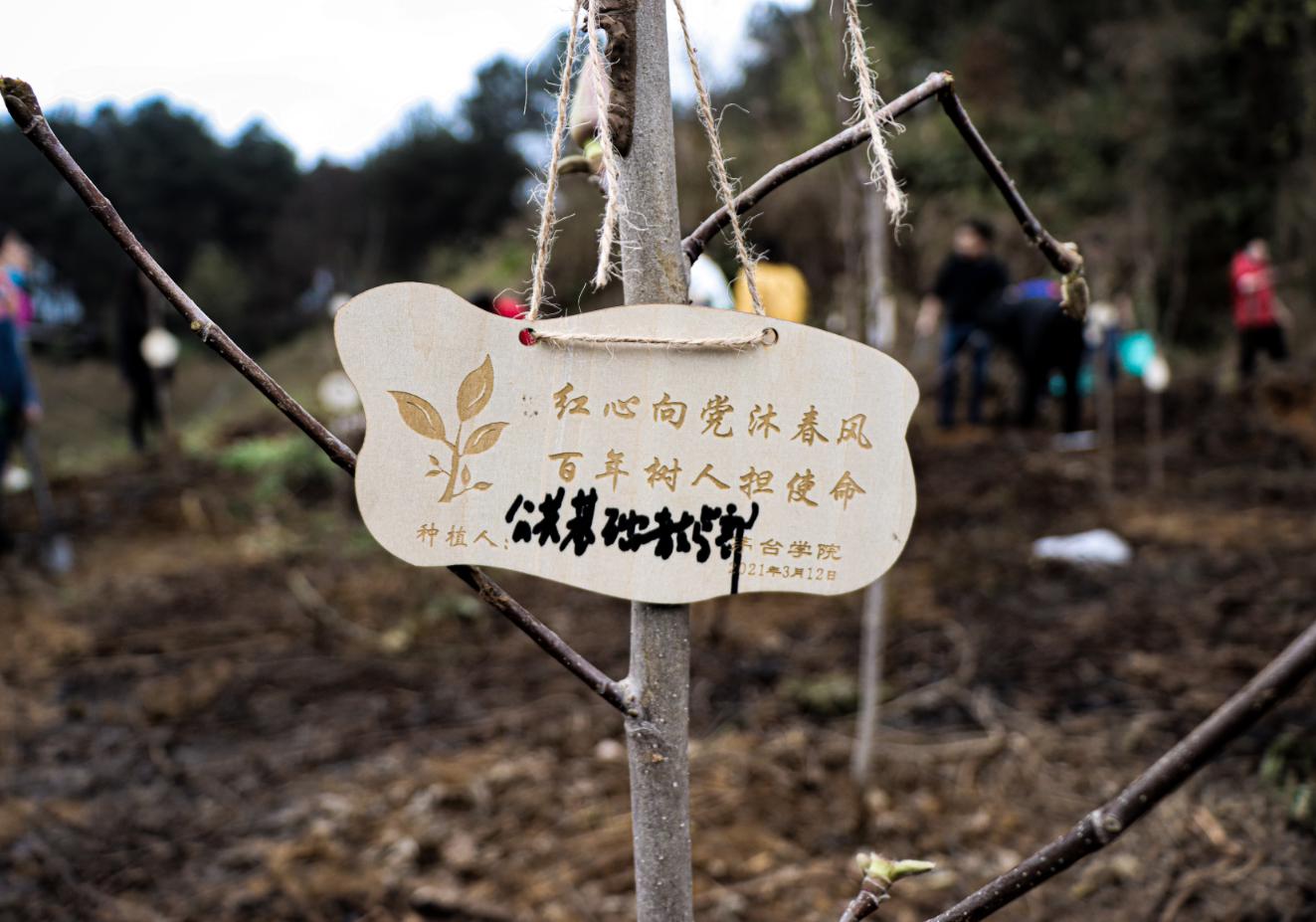 1615770767150353.jpg 图片15.jpg