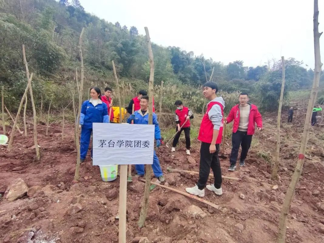 1615880415111095.png image.png