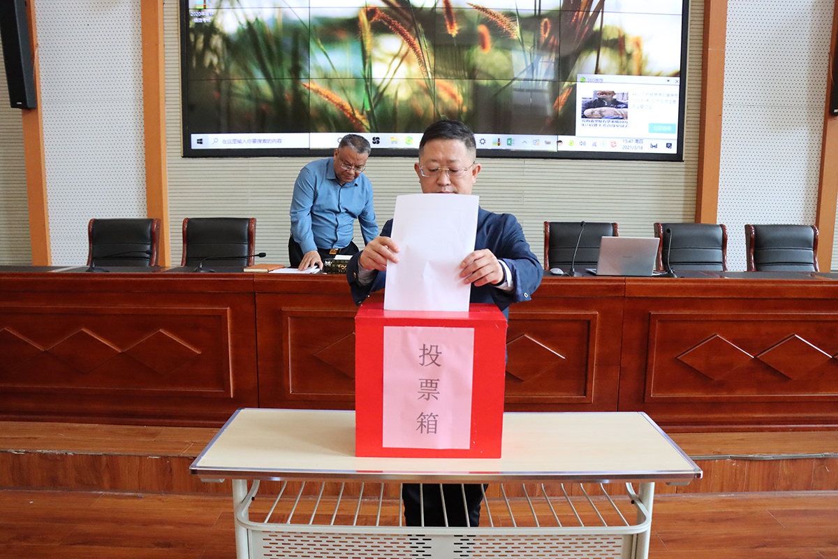 1616060324637817.jpg IMG_4255.JPG