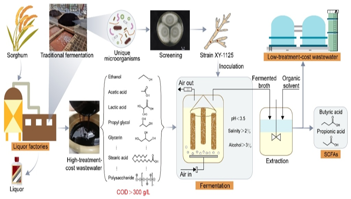 1618734323133609.png 图片2.png