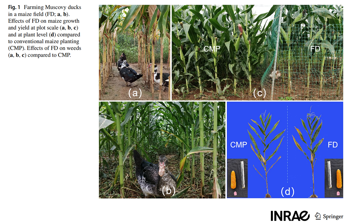 1639060677128961.png 图片2.png