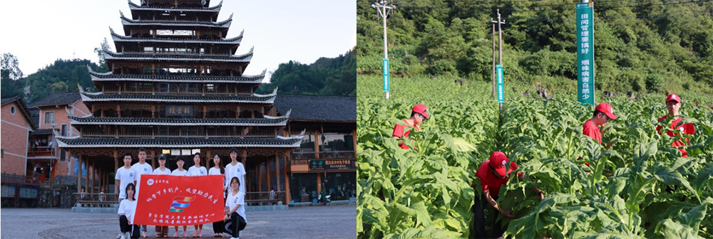 1664281523672242.jpg 2和3.jpg