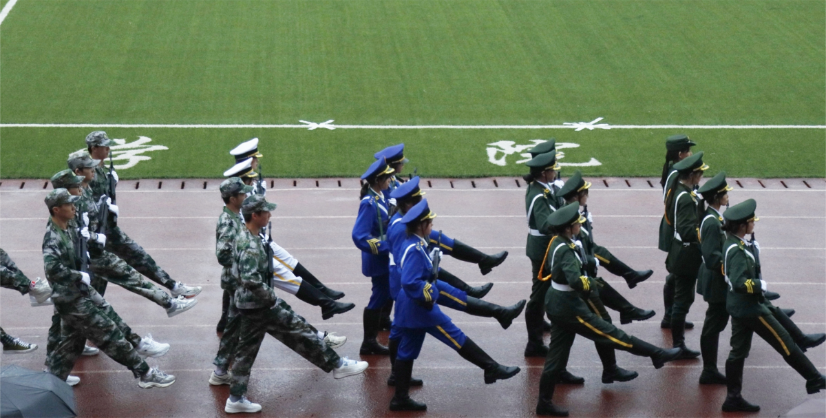 1667120856333926.png 2(1).png