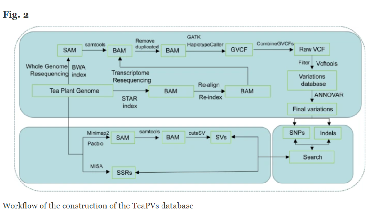 1667617475724741.png 3.png