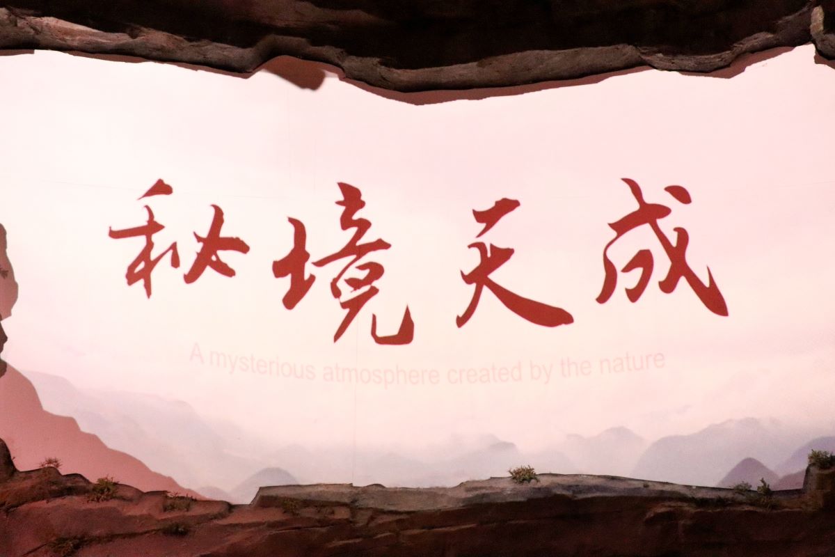 1669425115105410.jpg 2.jpg