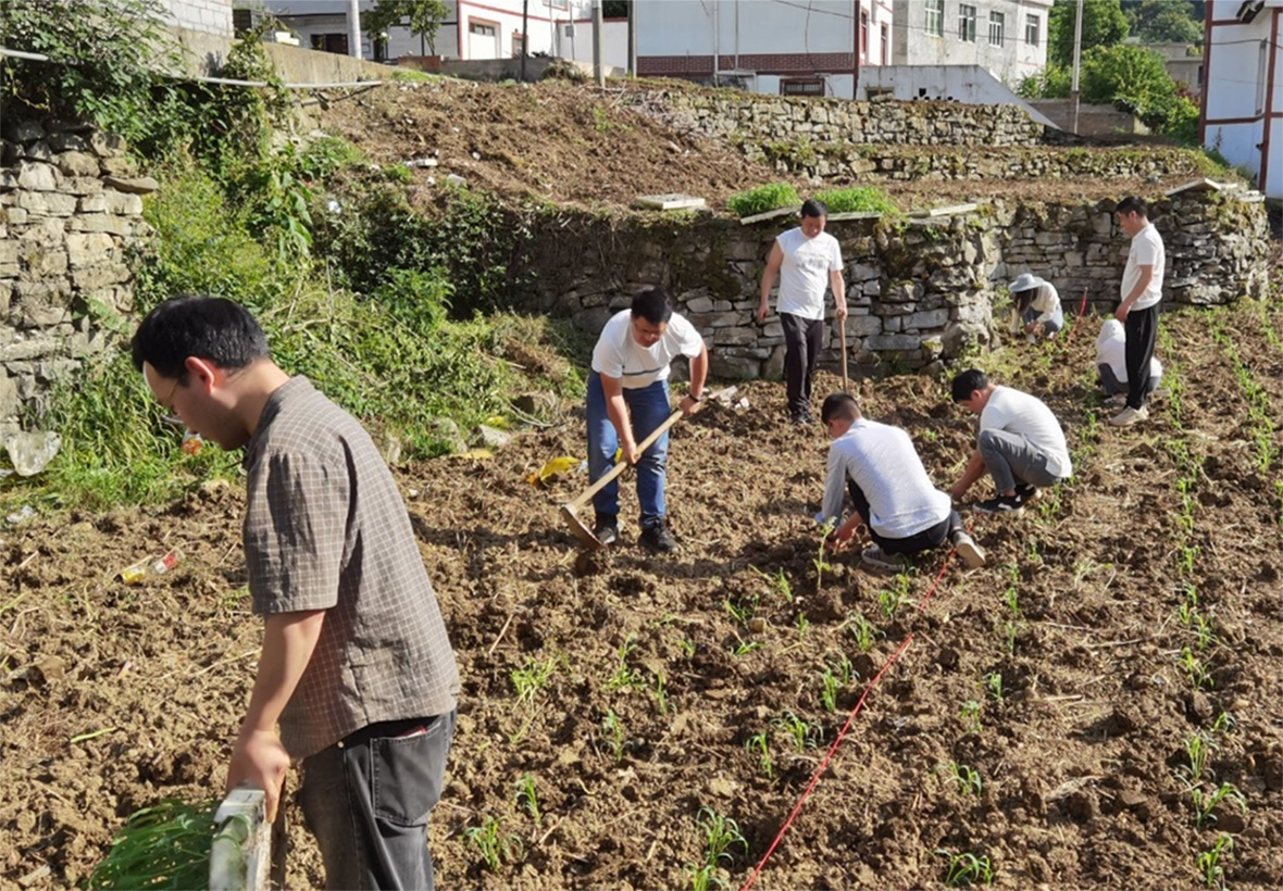 1651205459945193.jpg 图片4.jpg