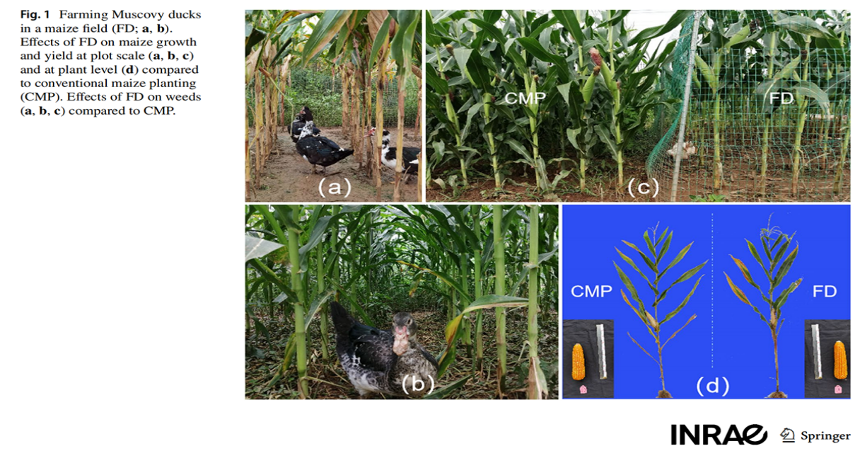 1640595951308925.png 1640595951308925.png